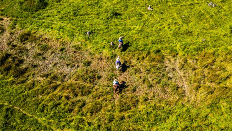 Período proibitivo de queimadas no Pantanal começou neste domingo com reforço de ações preventivas
